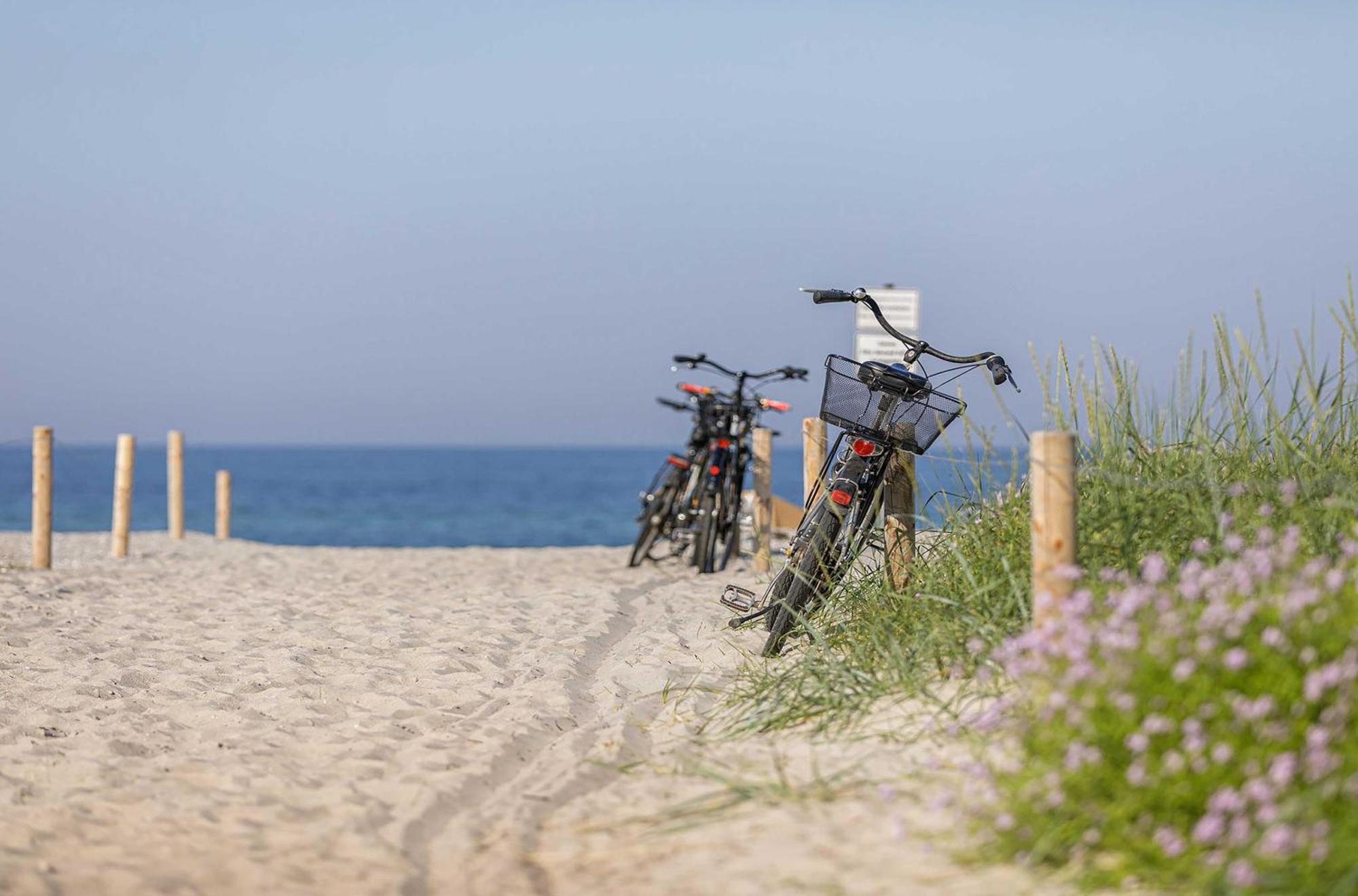 Seeschwalbe In Der Alten Seefahrtschule Wustrow  Zewnętrze zdjęcie