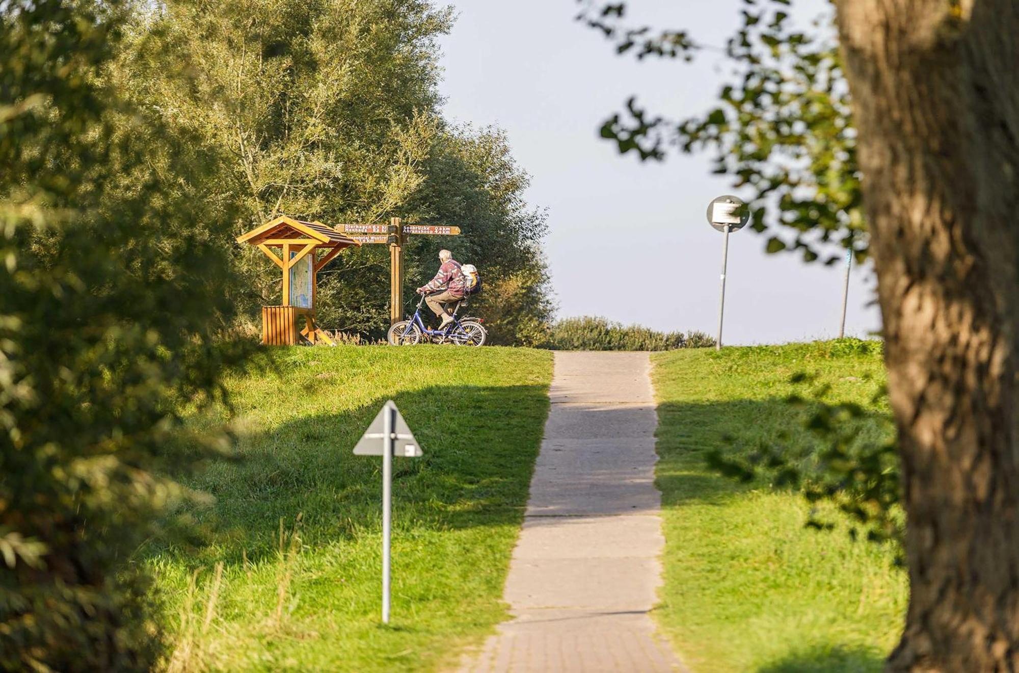 Seeschwalbe In Der Alten Seefahrtschule Wustrow  Zewnętrze zdjęcie